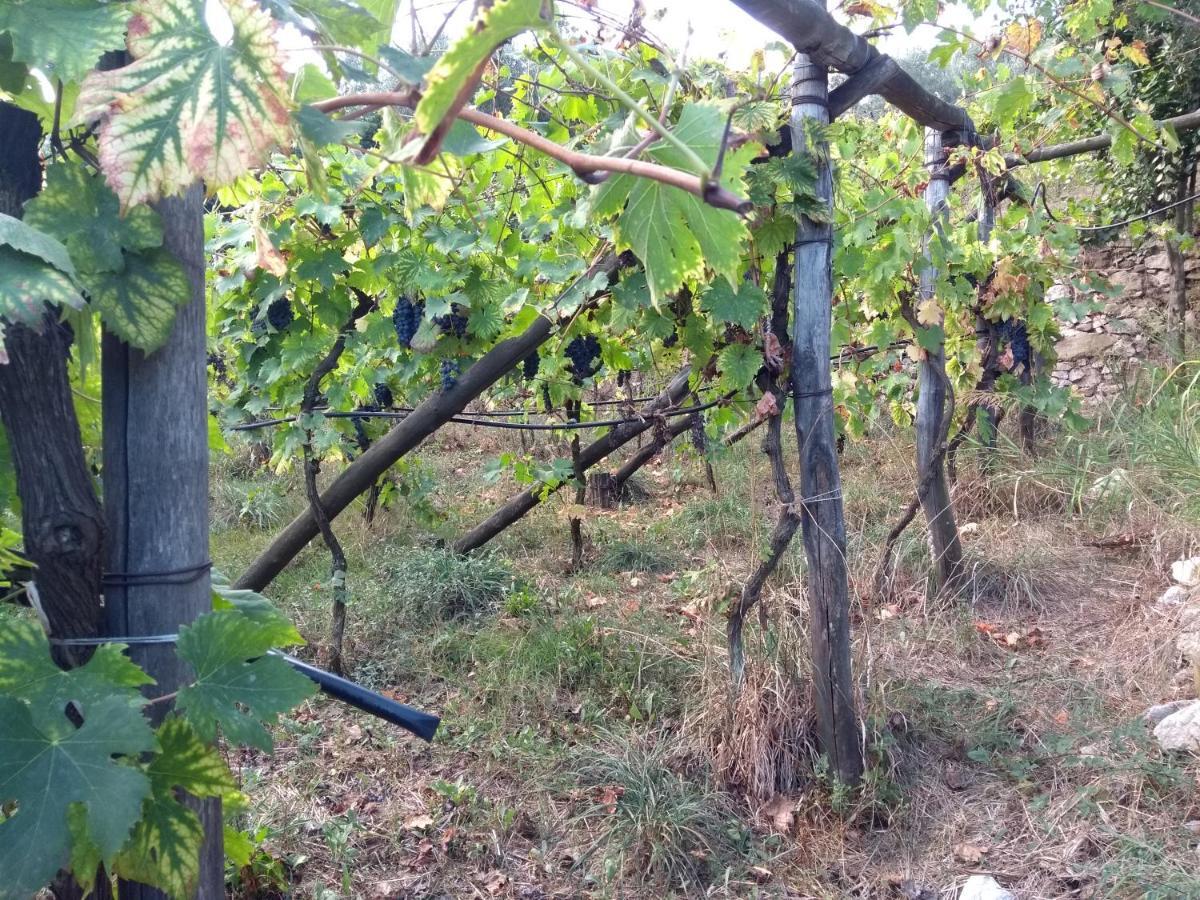 Anna Belle Elegant Agriresort Sorrento Bagian luar foto
