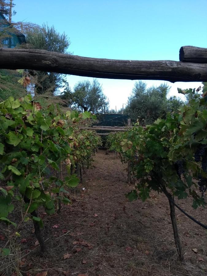 Anna Belle Elegant Agriresort Sorrento Bagian luar foto
